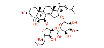 Anthenoside S1